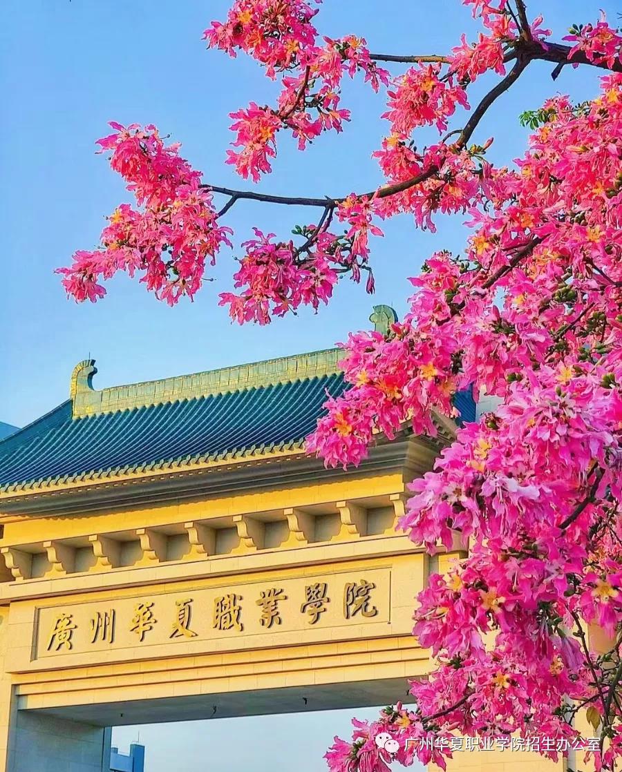 2021廣州華夏職業(yè)技術(shù)學院3+證書招生(圖1) 2021廣州華夏職業(yè)技術(shù)學院3+證書招生(圖1)