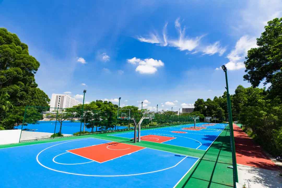 【院校介紹】廣州科技職業(yè)技術(shù)大學(xué)(圖5)